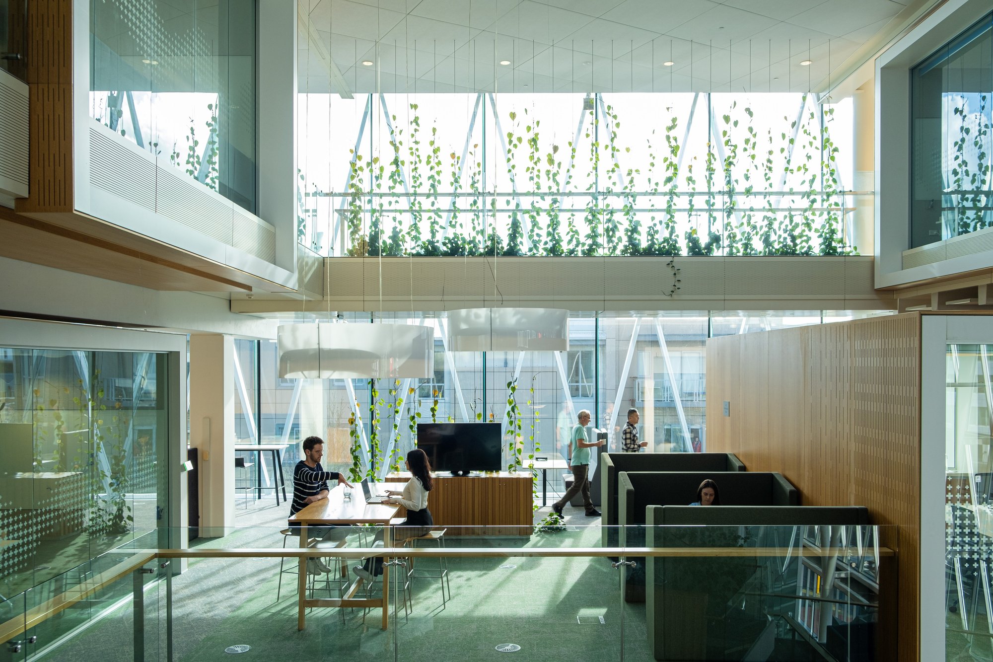tonkinandtaylor_aucklandofficefitout_greenstar_building_image_(15)-3120x2080